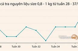 Giá Cá Tra Tháng 10 2022