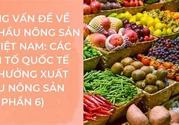 Những Loại Nông Sản Xuất Khẩu Tại Việt Nam Sang Mỹ Định Cư