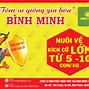 Tôm Gia Hóa Bình Minh