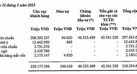 Tỷ Lệ Nợ Xấu Vib